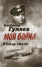 Владимир Гуляев: В бой на "Ил-2". Нас называли "черной смертью"